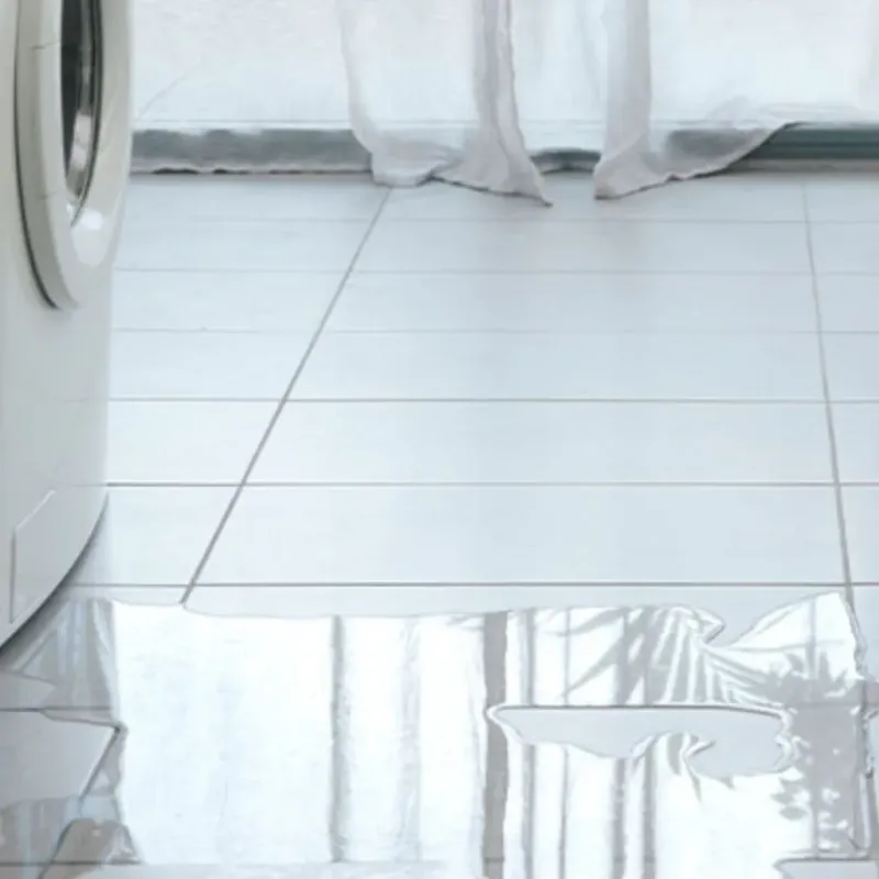 Appliance Leak Cleanup in Ellenton, FL